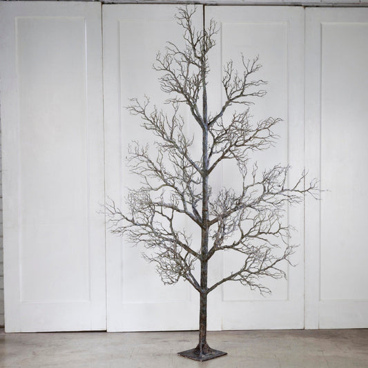 96 Branche de bois mort d'arbre