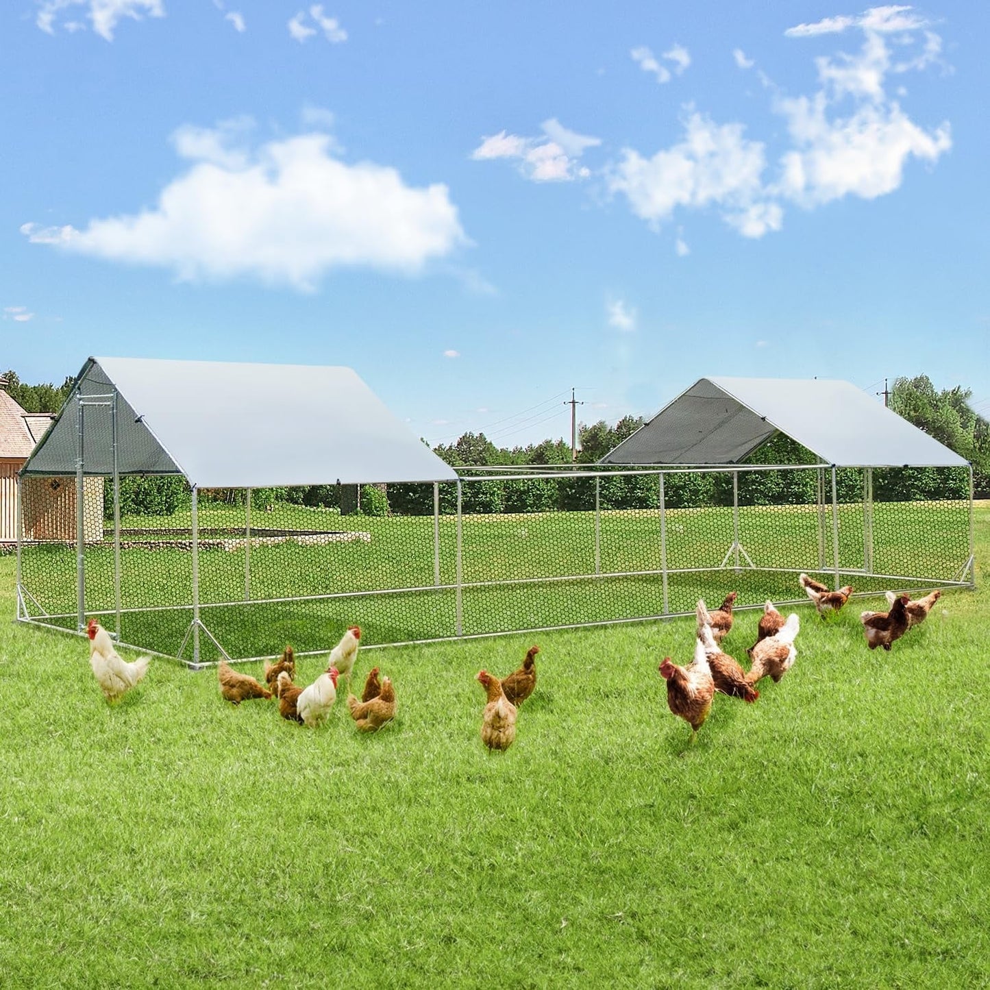 AECOJOY Grande Volière pour Poules en Métal, Cage à Poules en Métal avec Accès Direct