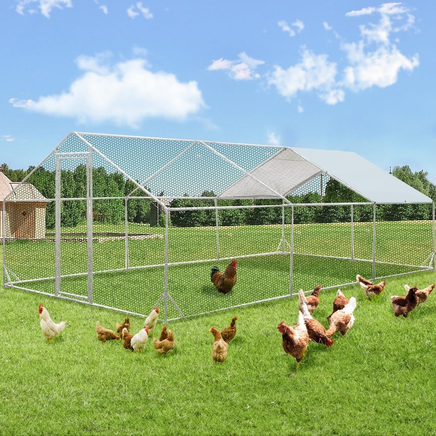 AECOJOY Grande Volière pour Poules en Métal, Cage à Poules en Métal avec Accès Direct