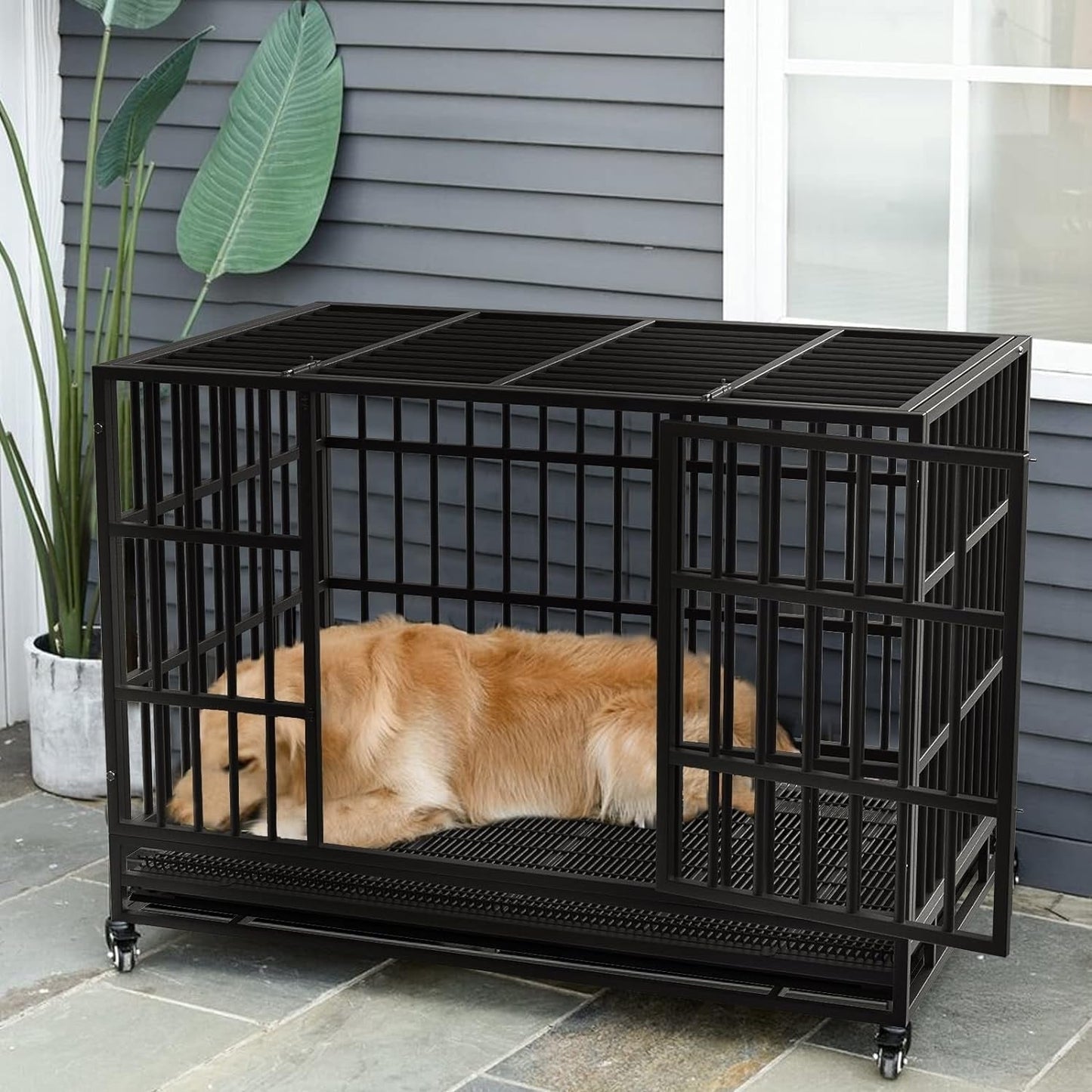 Cage pour chien BOSSIN 48/38 pouces, très résistante et indestructible, cage à chien anti-fuite avec roues verrouillables.
