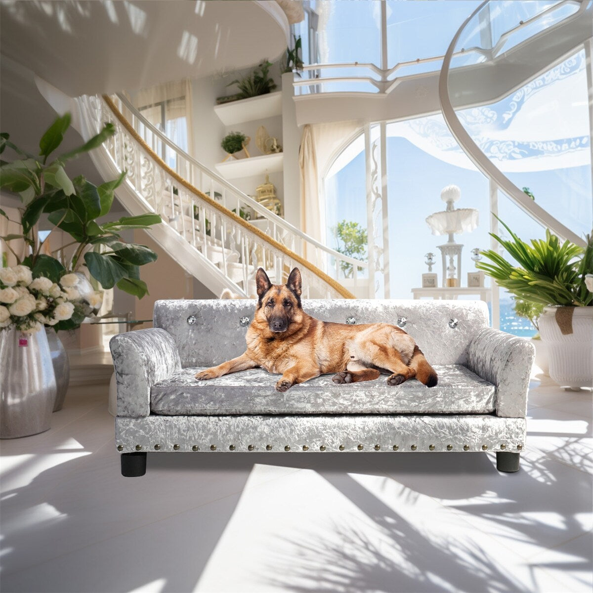 Couchon pour animal de compagnie en velours capitonné, recouvert de velours et doté d'un coussin amovible.