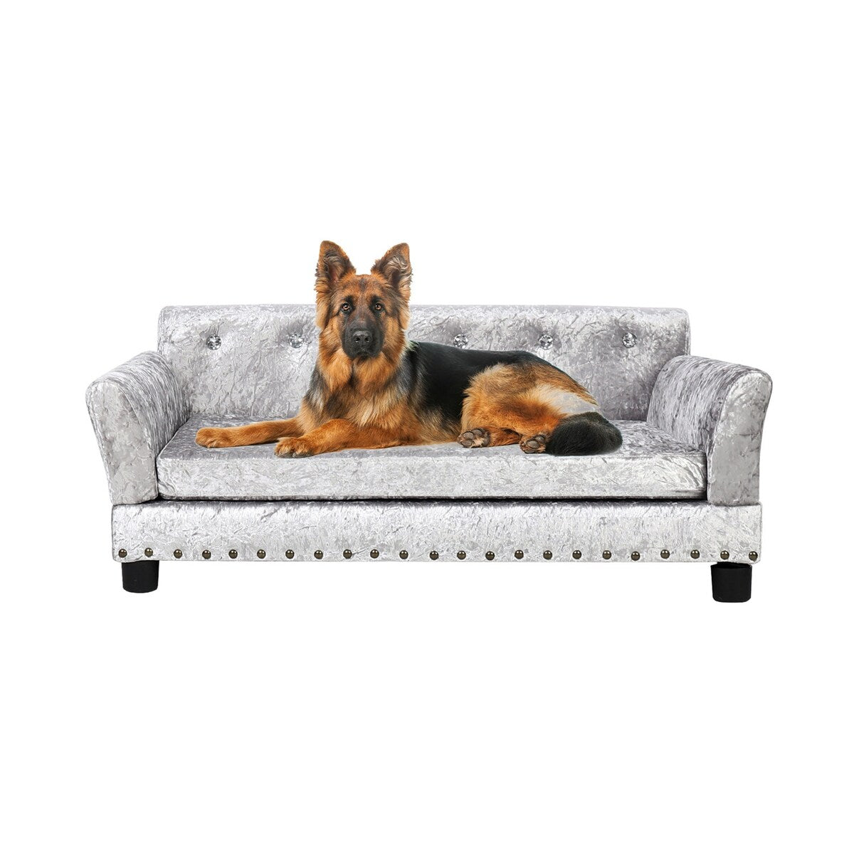 Couchon pour animal de compagnie en velours capitonné, recouvert de velours et doté d'un coussin amovible.