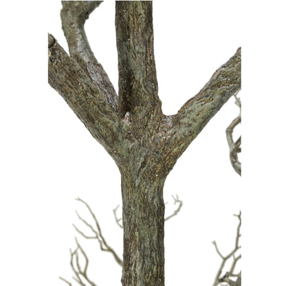 96 Branche de bois mort d'arbre