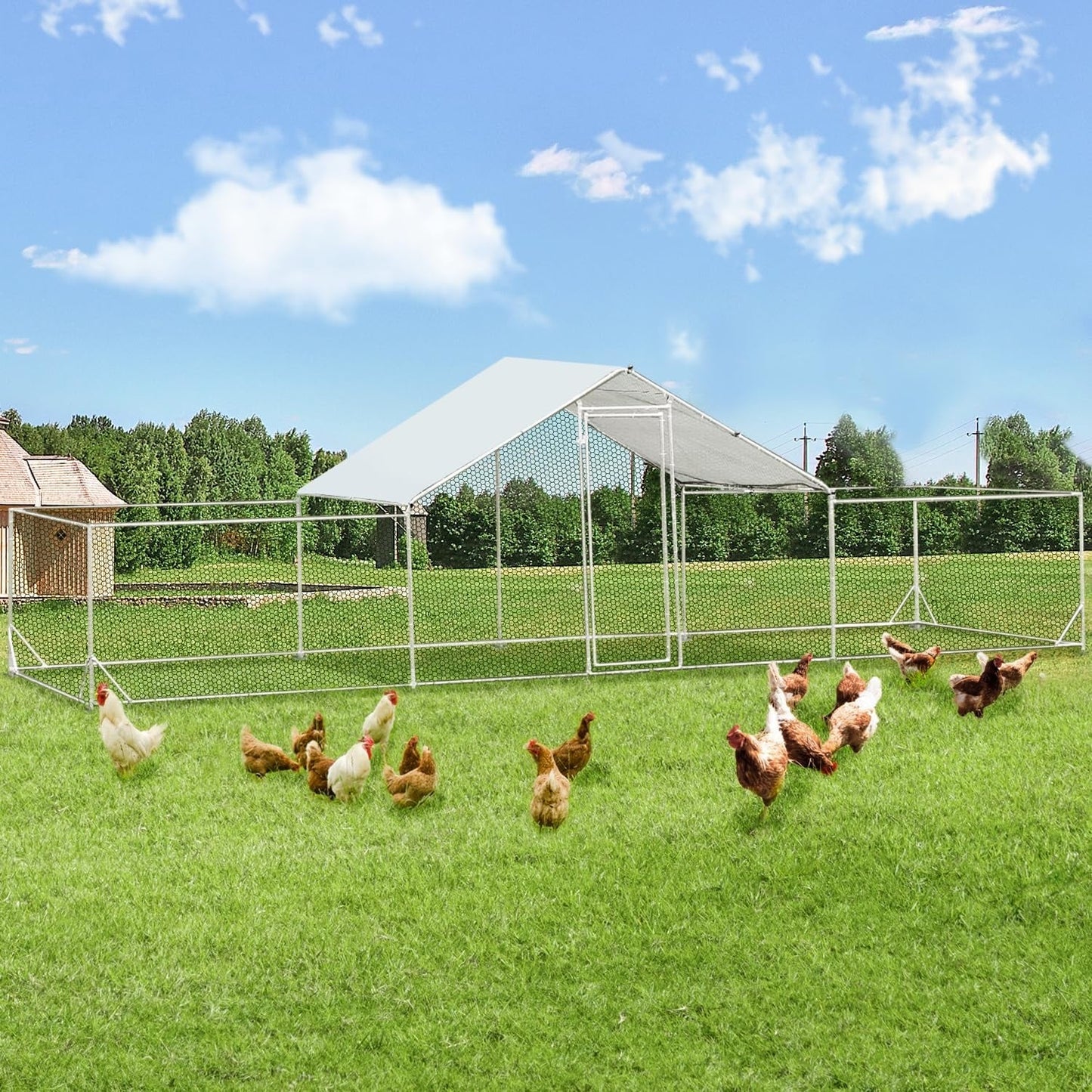 AECOJOY Grande Volière pour Poules en Métal, Cage à Poules en Métal avec Accès Direct
