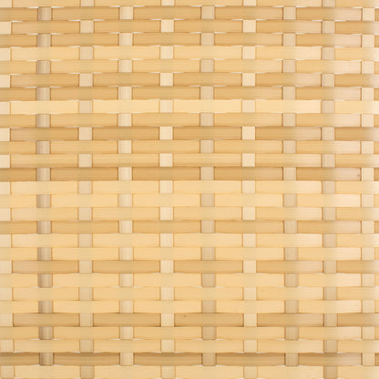 SAFAVIEH Lit de jardin Taniyah en osier avec coussins - 135L x 71P x 157H (cm)