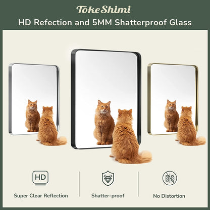 TokeShimi Miroir mural de salle de bain avec cadre métallique moderne