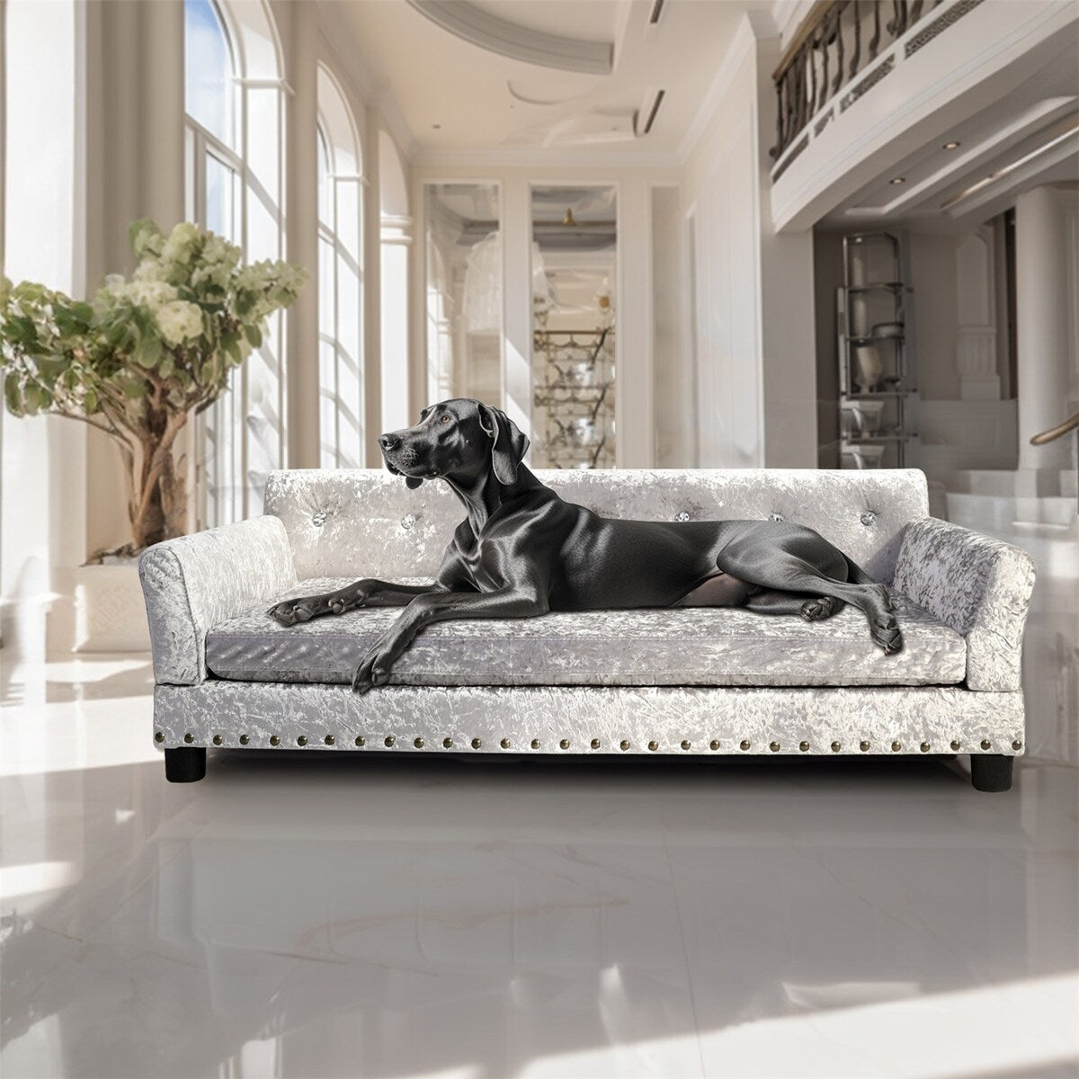 Couchon pour animal de compagnie en velours capitonné, recouvert de velours et doté d'un coussin amovible.