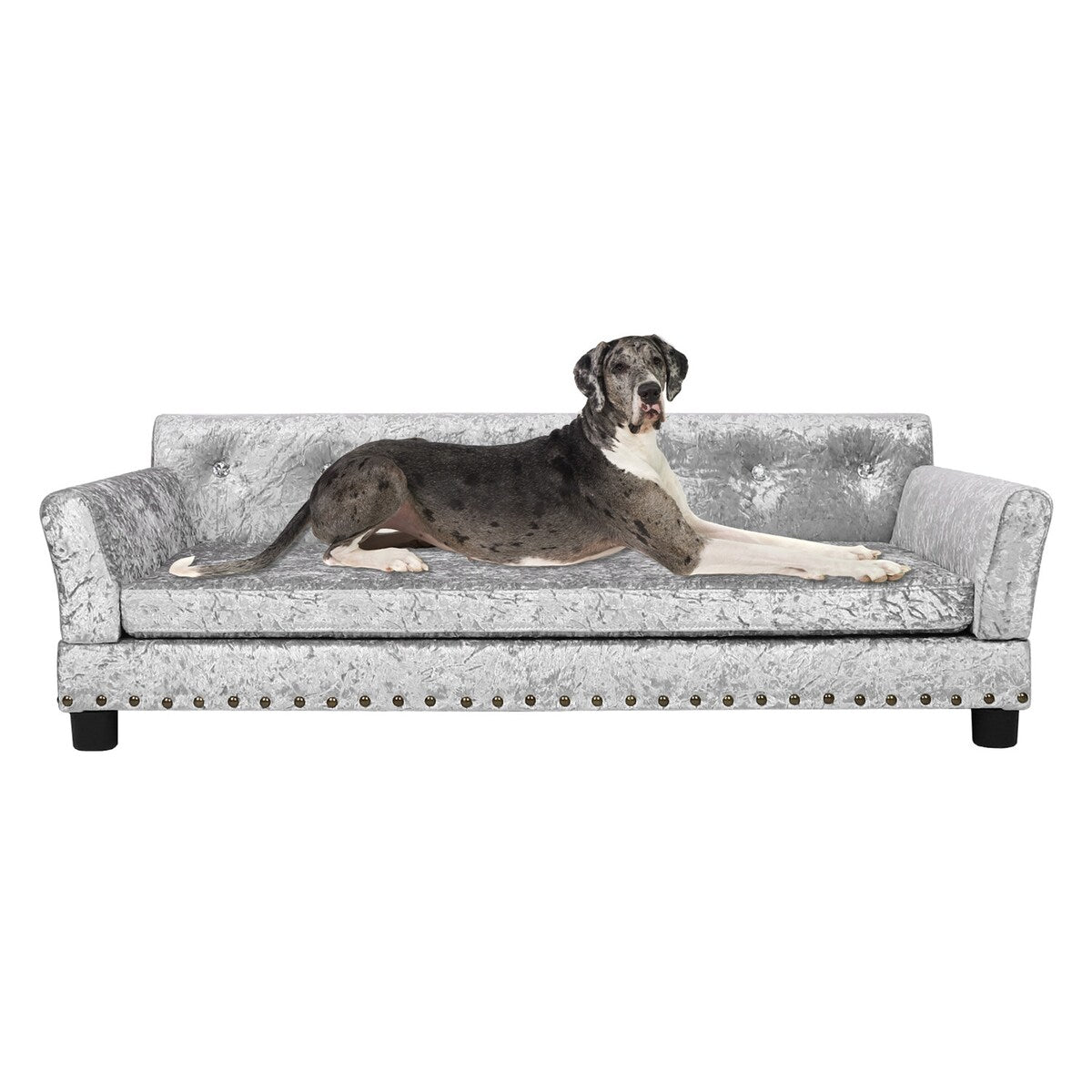 Couchon pour animal de compagnie en velours capitonné, recouvert de velours et doté d'un coussin amovible.